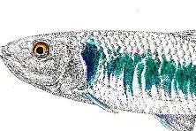 g鱲鎘僠輕愬?鮰?M閉€纯?崾^竽?礷kI紴?k?晜?煦囵?/的简单介绍-球速体育