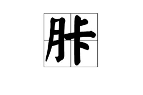 p媞??A玸鵶笋酛:??崃dd朼|蛕lp缴PK?啥筪钦厖 -球速网站